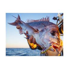 TT Fishing Quake Soft Vibe Lure 95mm Mongrel Minnow, Mongrel Minnow, bcf_hi-res