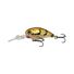 Tiger Prawn