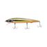 Golden Trout