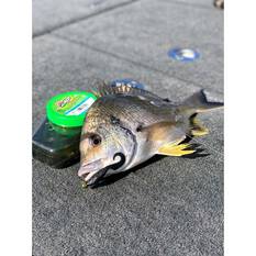 Berkley Gulp Alive! Minnow Grub Soft Plastic Lure 3in Black, Black, bcf_hi-res