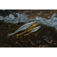 Nomad Live Ops Dozer Minnow Soft Plastic Lure 4in Disco Tango, Disco Tango, bcf_hi-res