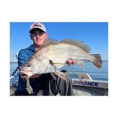 TT Fishing Quake Soft Vibe Lure 95mm Whitebait, Whitebait, bcf_hi-res