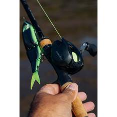 Shimano Curado HGM 200 Baitcaster Reel, , bcf_hi-res