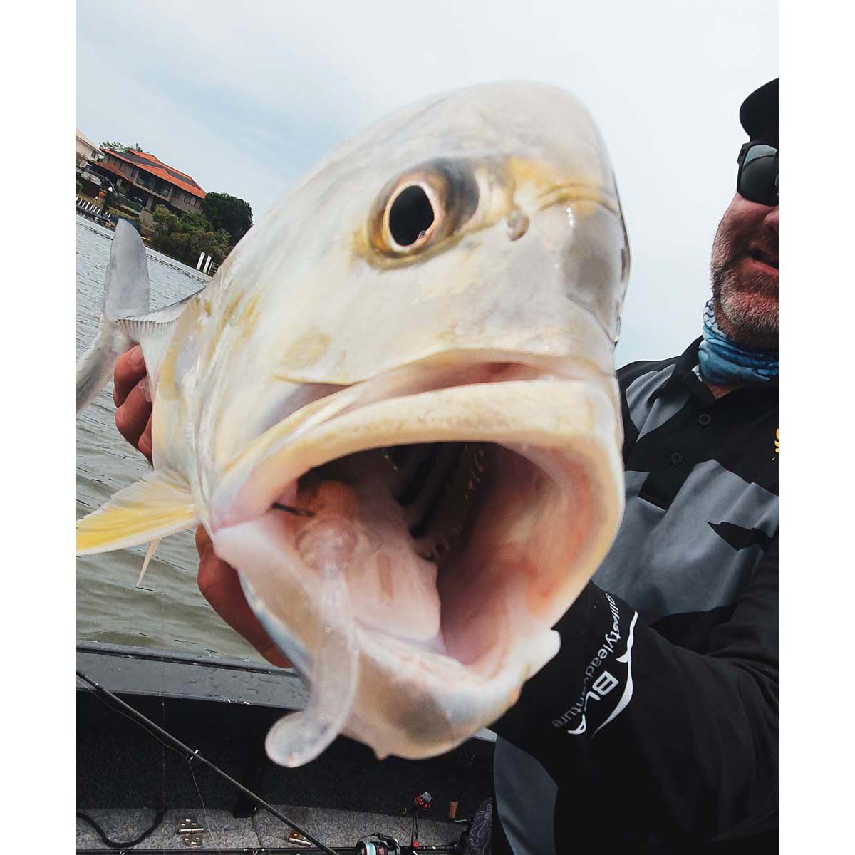 Rapala CrushCity Creeper Soft Plastic Lure 2.5in Pearl White, Pearl White, bcf_hi-res