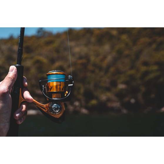 Daiwa 23 Aird LT Spinning Reel 6000 H, , bcf_hi-res