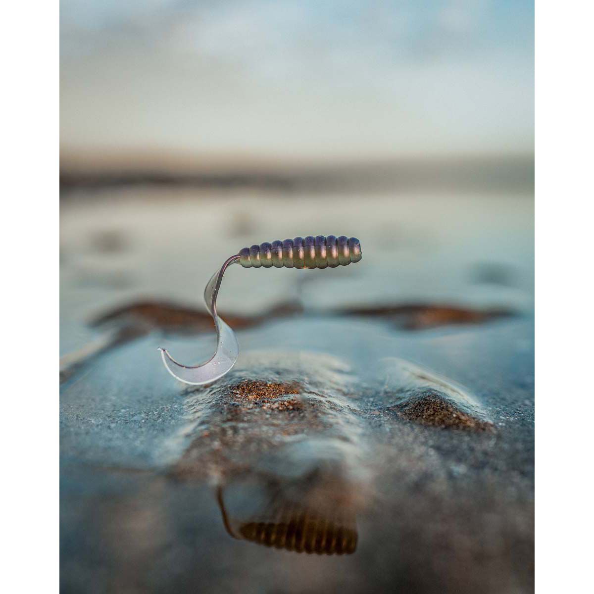 Pro Lure Grub Soft Plastic Lure 60mm UV Worm, UV Worm, bcf_hi-res