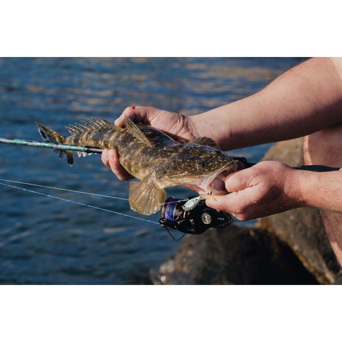 Nomad Squidtrex Vibe Lure 65mm Aqua Ghost, Aqua Ghost, bcf_hi-res