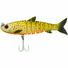Orange Belly Trout