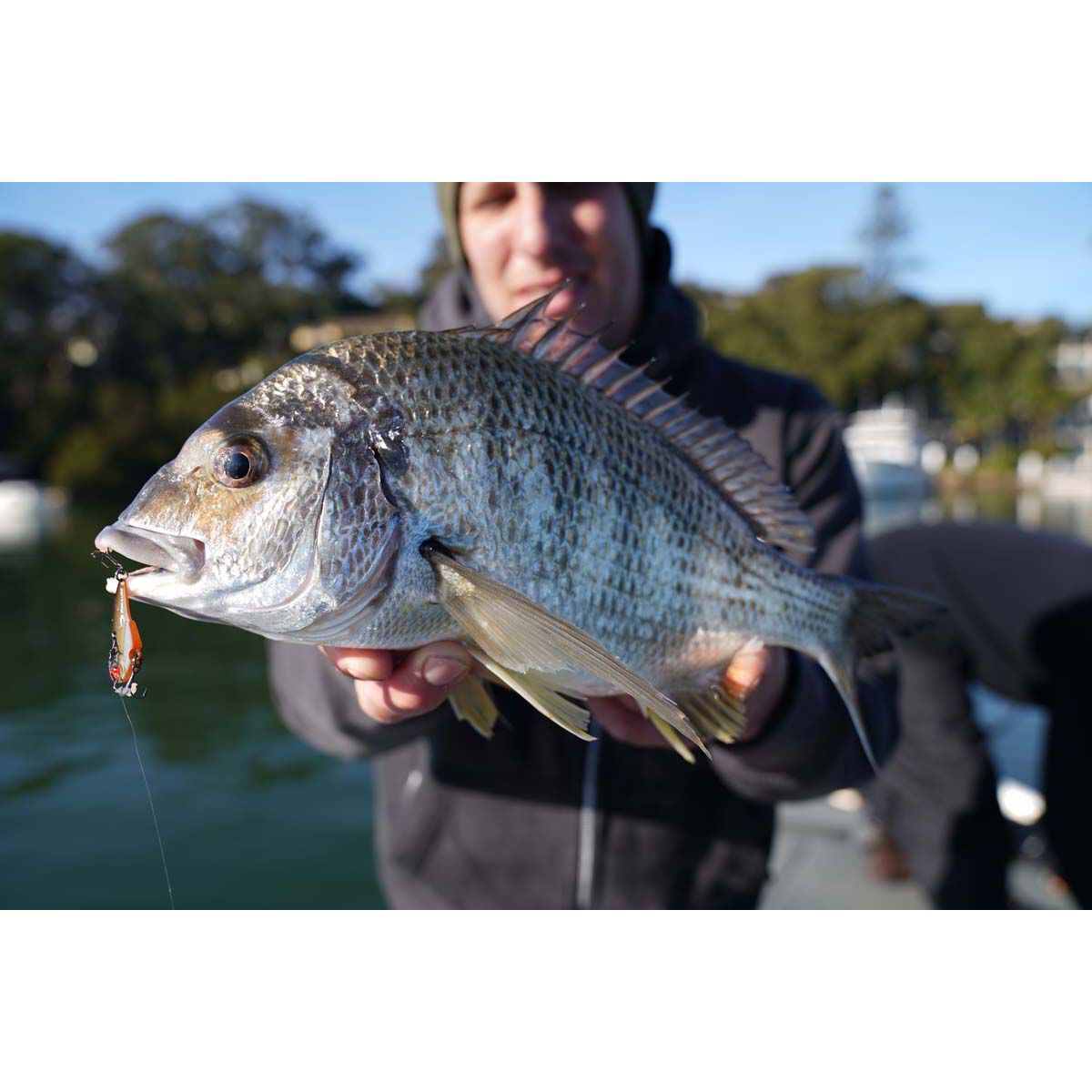 Pro Lure Blade V Vibe Lure 42mm Tiger Prawn, Tiger Prawn, bcf_hi-res