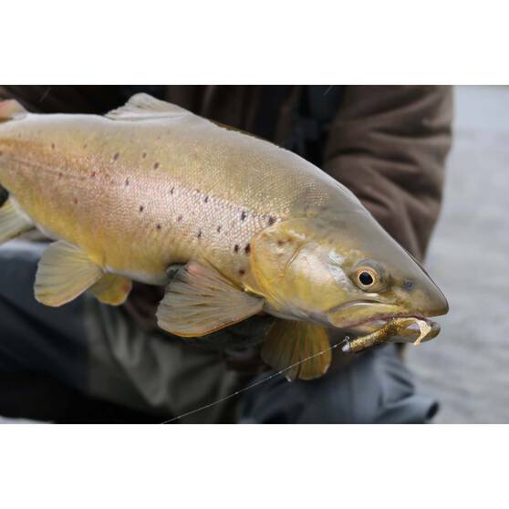 Berkley PowerBait T-Tail Minnow Soft Plastic Lure 2.6in Jalapeno Green / Pumpkin, Jalapeno Green / Pumpkin, bcf_hi-res