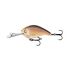 Regurgitated Shad