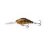 Golden Gudgeon