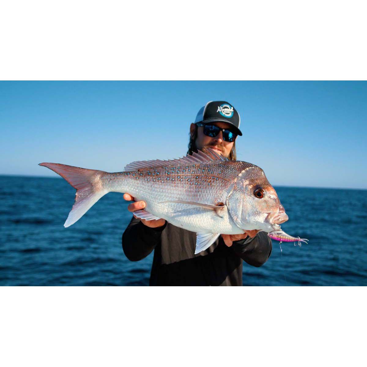 Nomad Vertrex Max Soft Vibe Lure 95mm Holographic Purple Shrimp, Holographic Purple Shrimp, bcf_hi-res