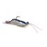 White Prawn
