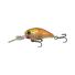 Hot Prawn