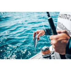 Shimano Anthem Spinning Rod, , bcf_hi-res