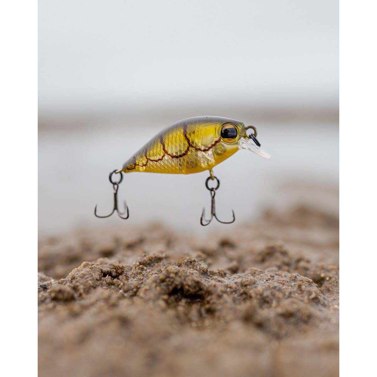 Pro Lure Crank S Hardbody Lure 36mm Brown Gill, Brown Gill, bcf_hi-res