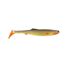 Carp