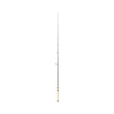 Shimano Thunnus 4000 Raider Spinning Combo, , bcf_hi-res