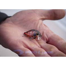 Pro Lure Crank XS Hardbody Lure 36mm Ayu, Ayu, bcf_hi-res