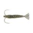 Blue Shiner Gold