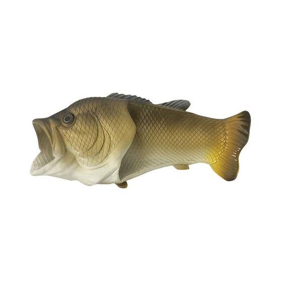Bream Fish Feet, , bcf_hi-res