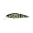 Brook Trout