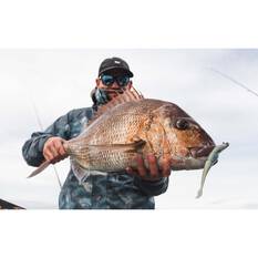 Daiwa Bait Junkie Jerkshad Soft Plastic Lure 5in BP Iwashi, BP Iwashi, bcf_hi-res