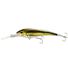 Olive Back Shad