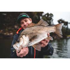 Daiwa Bait Junkie Minnow Soft Plastic Lure 2.5in Yabbie UV, Yabbie UV, bcf_hi-res