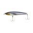 Saury