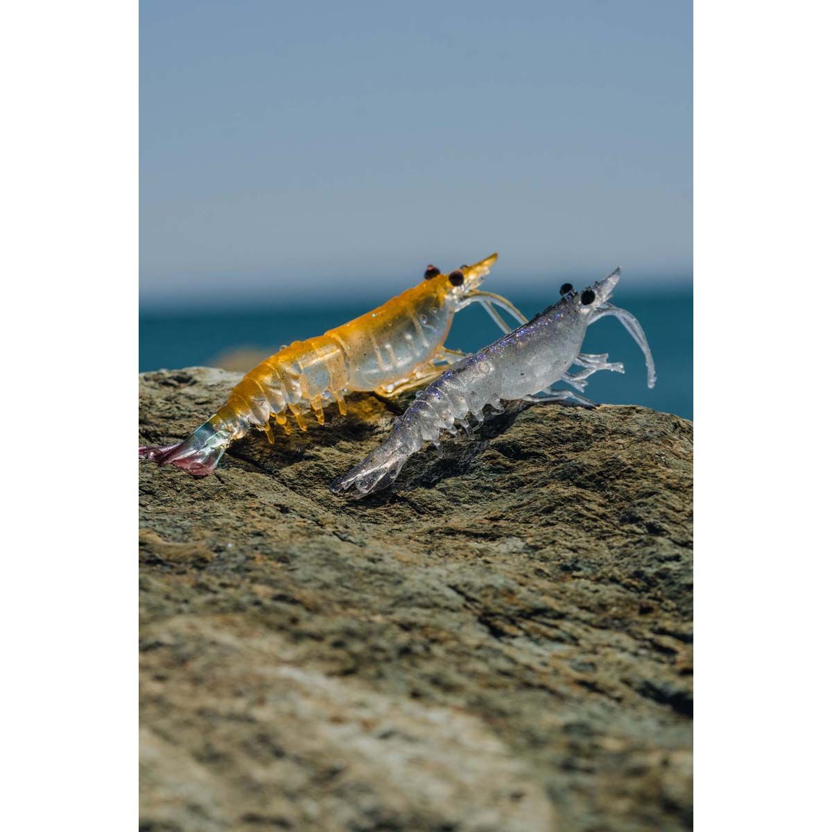 Nomad Live Ops Switcher Shrimp Soft Plastic Lure 3.5in Pink Swagger, Pink Swagger, bcf_hi-res