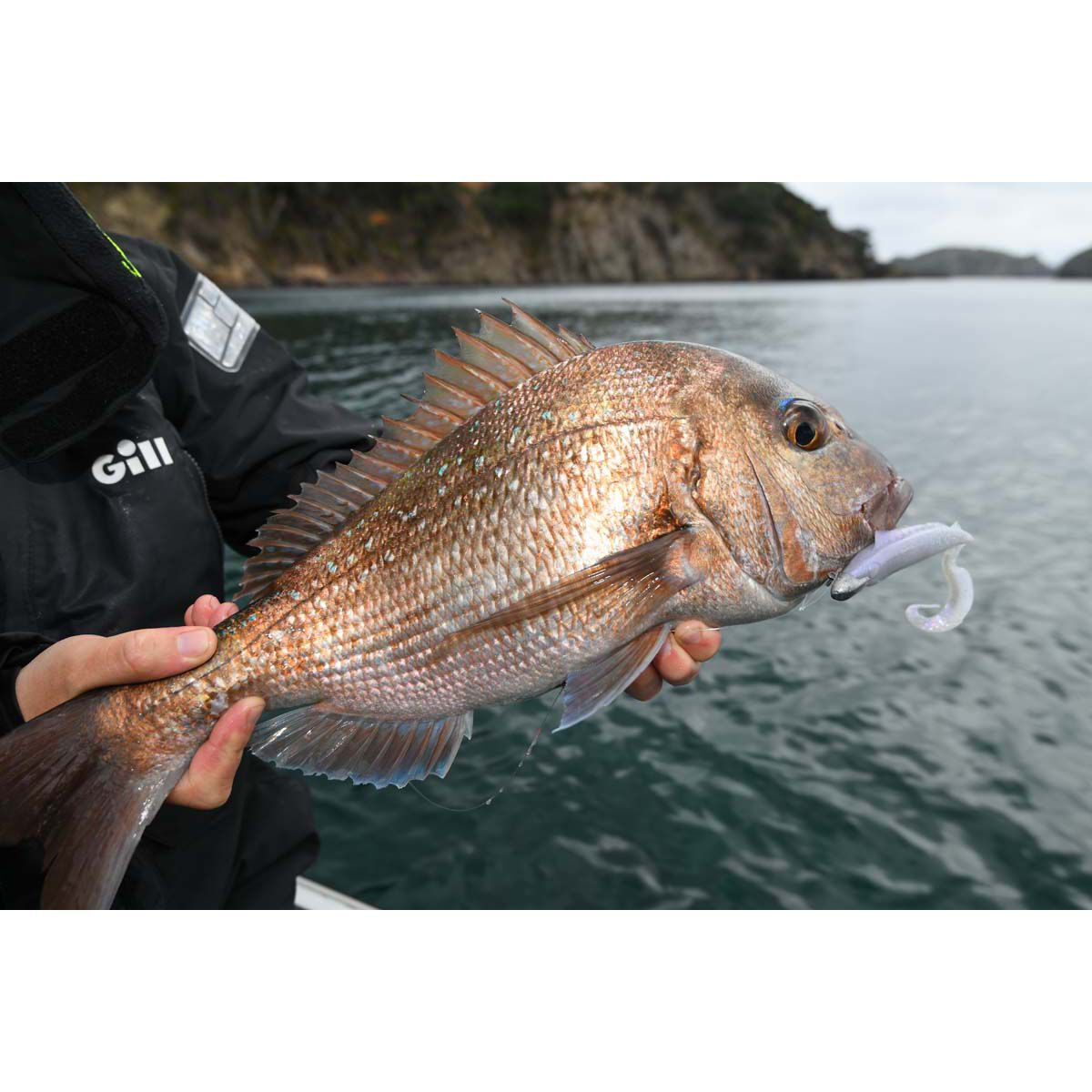 Berkley Gulp! Nemesis Soft Plastic Lure 5in Pink Shine, Pink Shine, bcf_hi-res