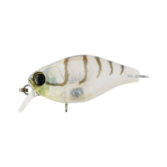 Jackall Chubby Shallow Floating Hard Body Lure 38mm Suji Shrimp, Suji Shrimp, bcf_hi-res