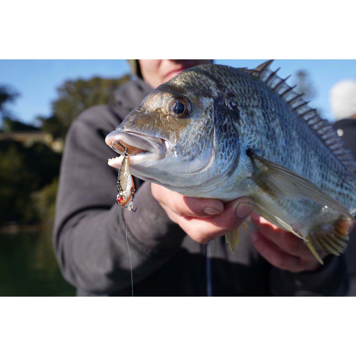 Pro Lure Blade V Vibe Lure 42mm Matt Black, Matt Black, bcf_hi-res