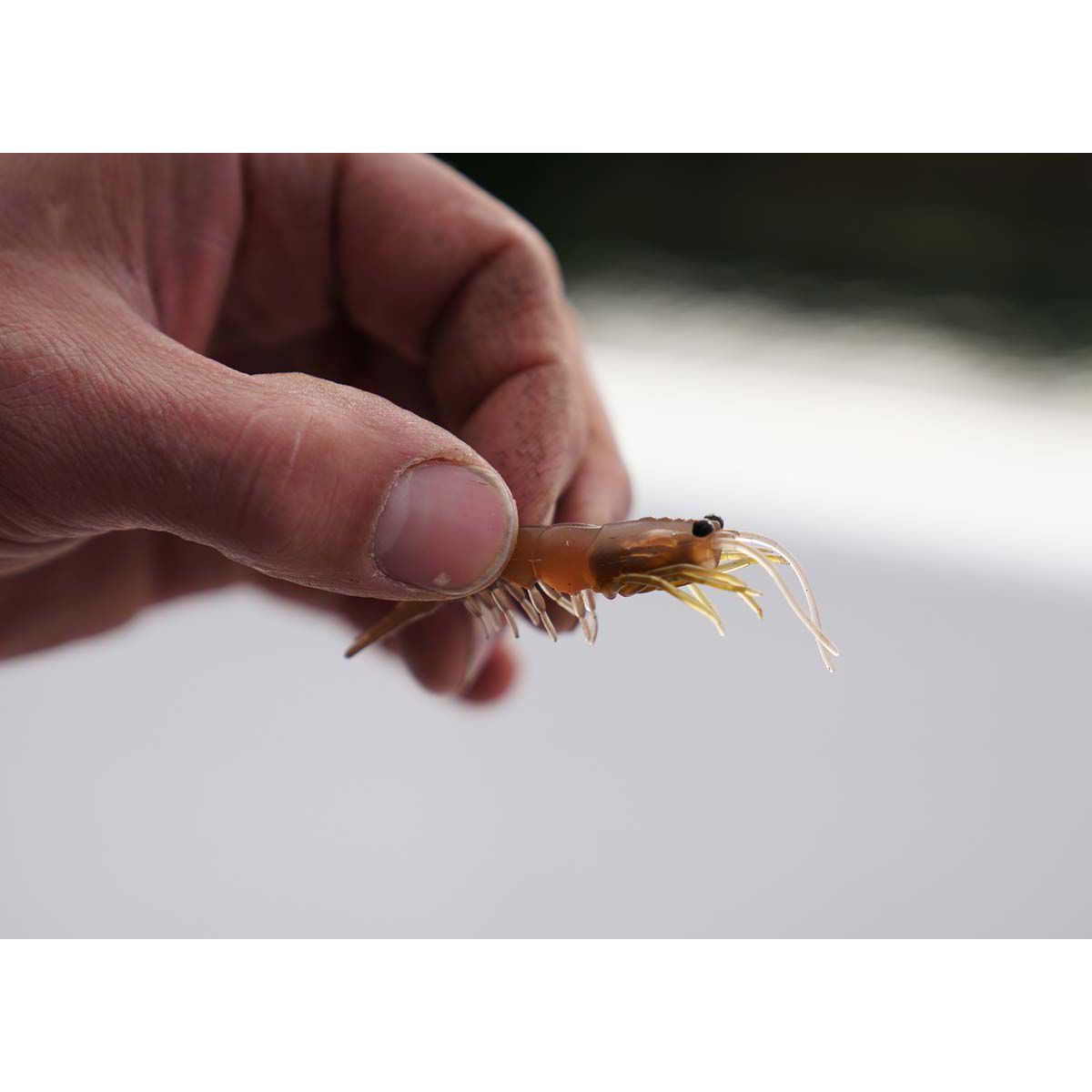 Pro Lure Clone Prawn Soft Plastic Lure 62mm Green Tiger UV, Green Tiger UV, bcf_hi-res