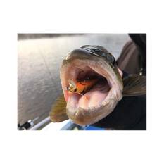 Hawk Sniper Hard Body Lure 60S Redfin, Redfin, bcf_hi-res