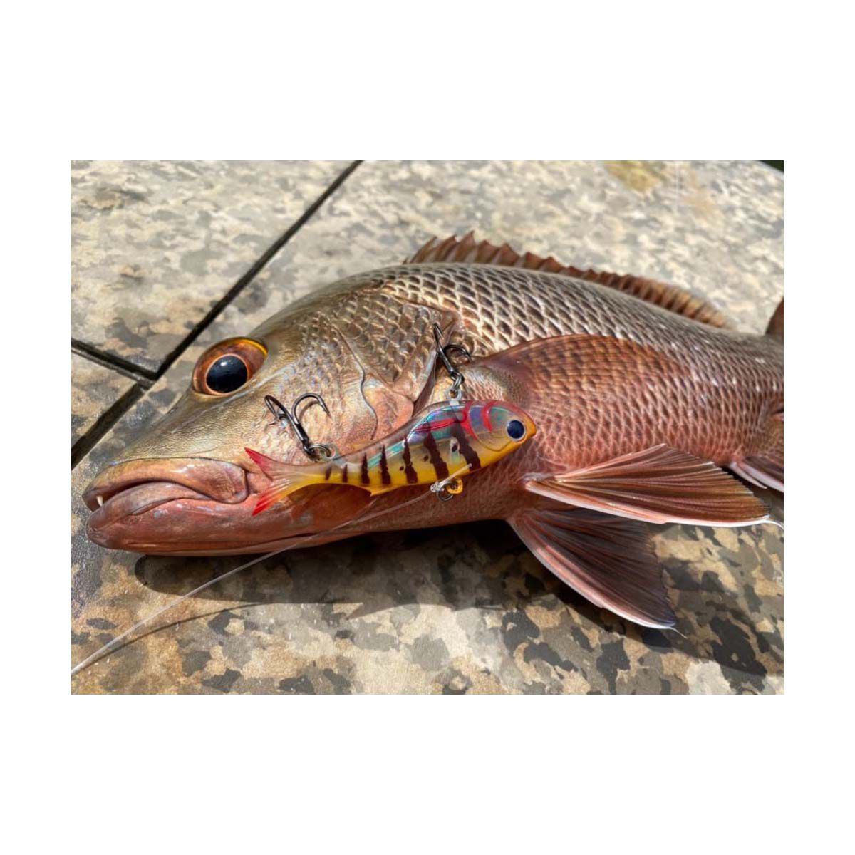 TT Fishing Quake Soft Vibe Lure 95mm Gold Dust, Gold Dust, bcf_hi-res