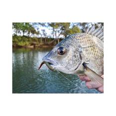 Berkley Gulp! Sandworm Soft Plastic Lure 4in Natural, Natural, bcf_hi-res