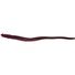 Bloodworm