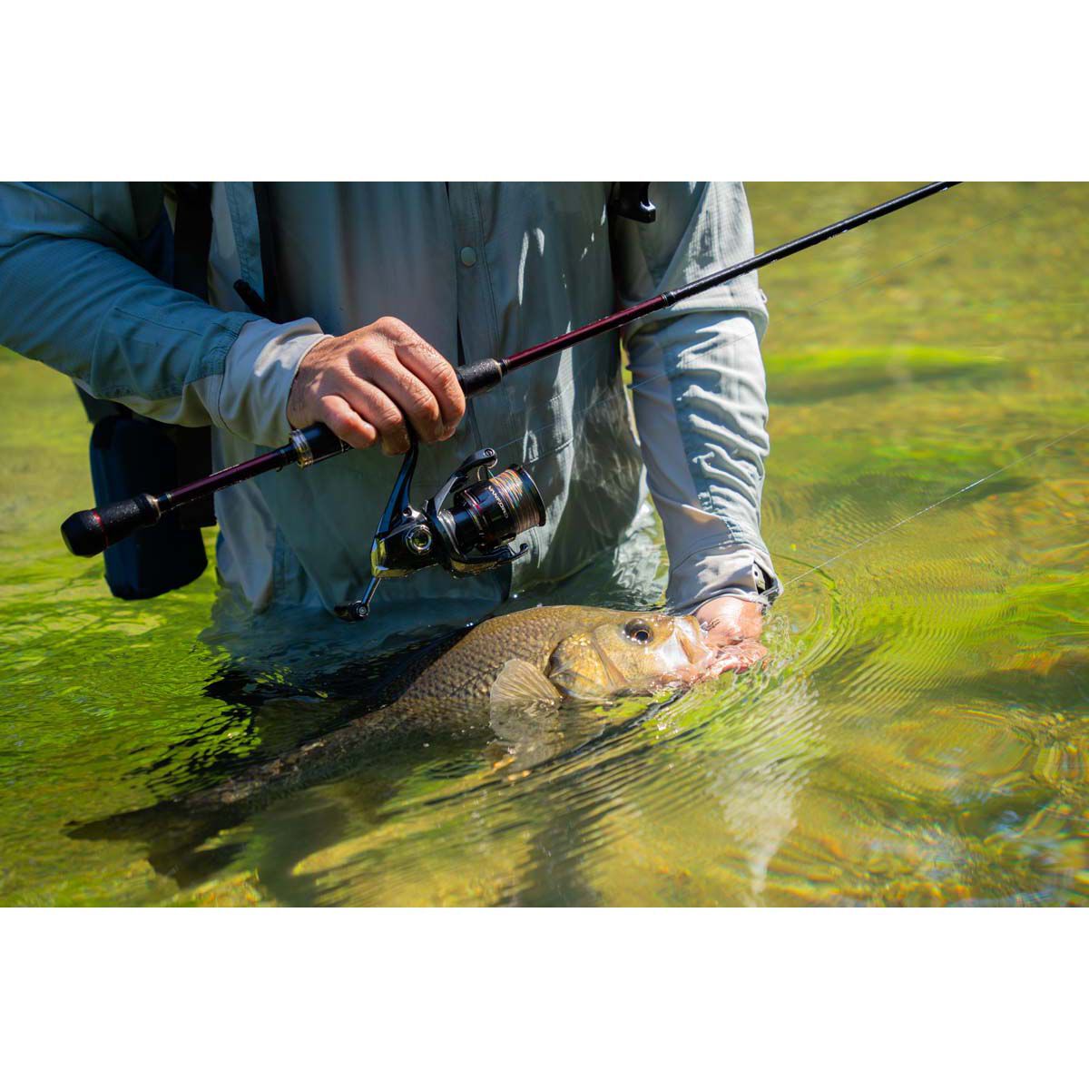 Shimano Vanford FA 24 Spinning Reel 500, , bcf_hi-res