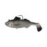 Herring