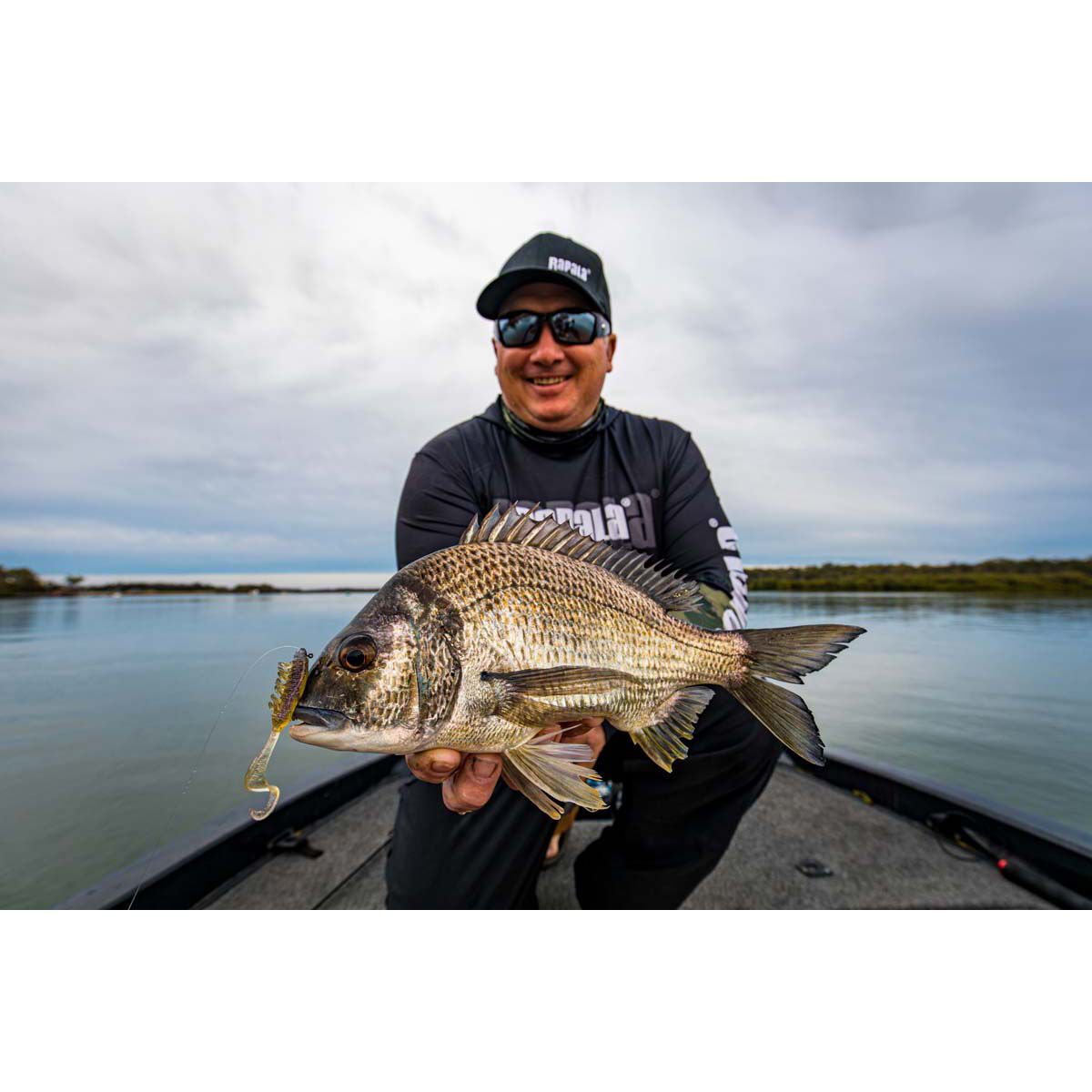 Rapala CrushCity Creeper Soft Plastic Lure 2.5in Bloodworm UV, Bloodworm UV, bcf_hi-res