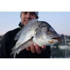 Pro Lure Grub Soft Plastic Lure 60mm Bloodworm, Bloodworm, bcf_hi-res