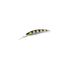 Archer Fish