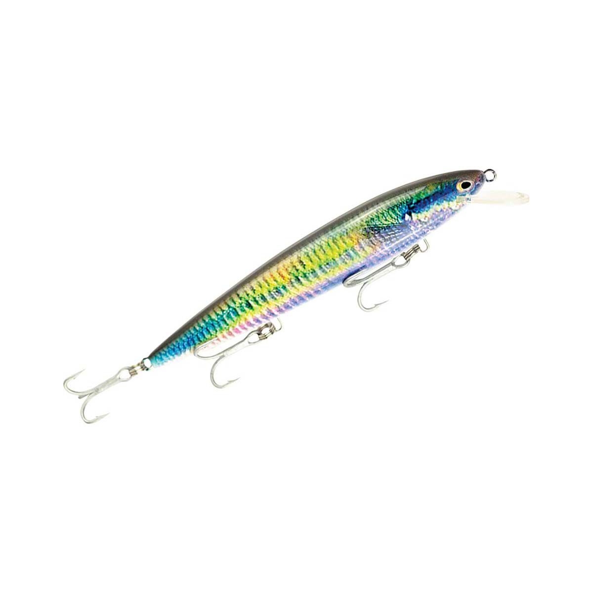 Raptor Live Patriot Hard Body Lure 6in Rainbow Fish, Rainbow Fish, bcf_hi-res