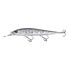 Disco Shad