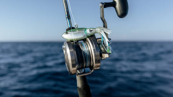 Nomad Squidtrex Jig Lure 95mm Green Gold Gizzy, Green Gold Gizzy, bcf_hi-res