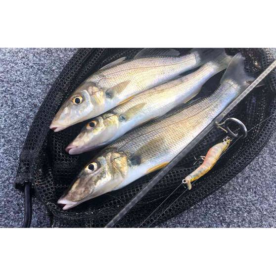 MMD Splash Prawn Surface Lure 95mm Sunburnt Jelly, Sunburnt Jelly, bcf_hi-res