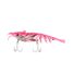 Pink Shrimp